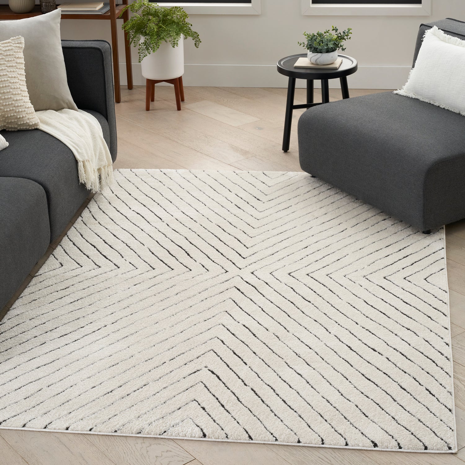 Modern Comfort Rugs