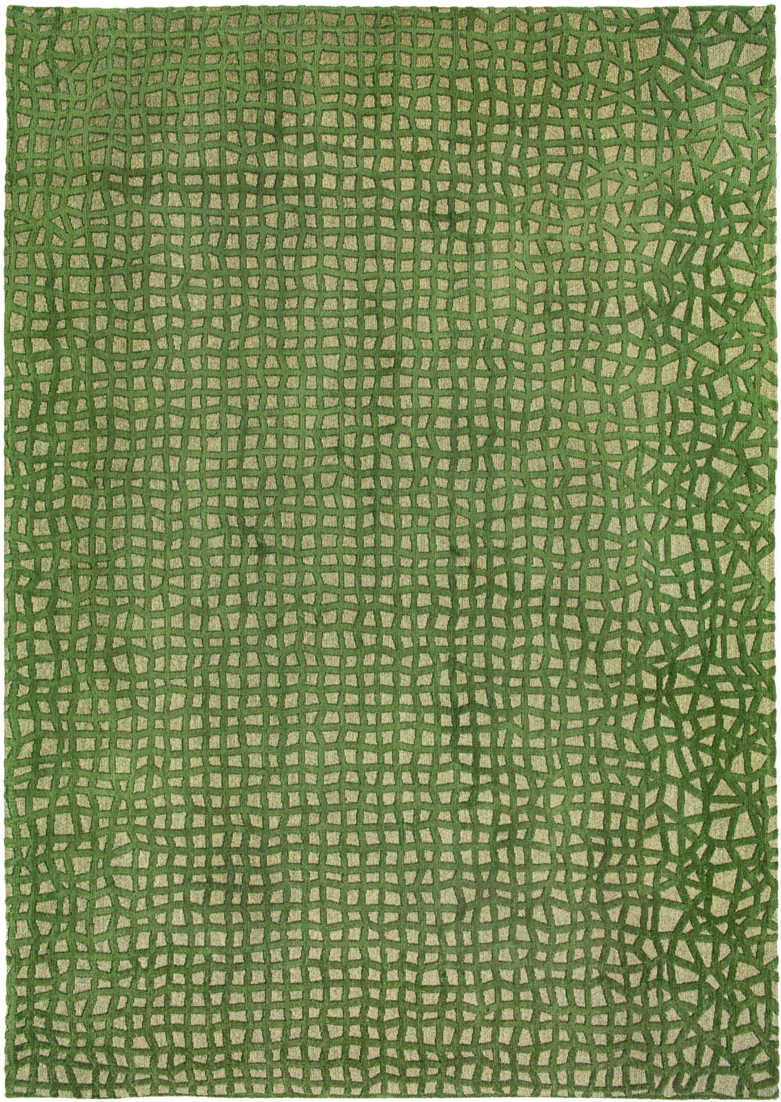 Modern Green Rugs